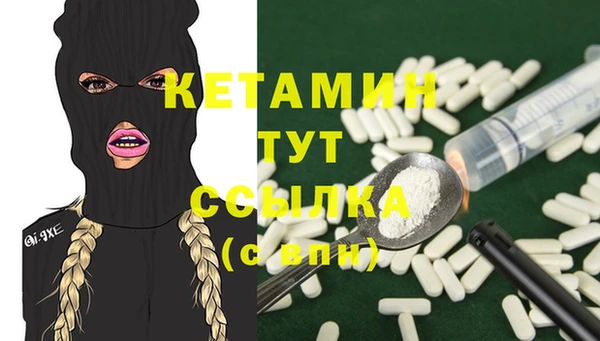 дживик Тайга