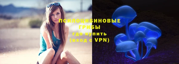 тгк Вязьма