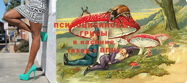 прущий лед Вязники