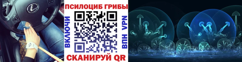 KRAKEN ТОР  Керчь  Псилоцибиновые грибы Cubensis  где можно купить наркотик 